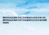 請問各位花友我的下山蘭花送春為什么開花不香介紹(請問各位花友我的下山蘭花送春為什么開花不香詳細(xì)情況如何)