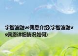 宇智波鼬vs佩恩介紹(宇智波鼬vs佩恩詳細(xì)情況如何)