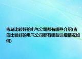 青島比較好的電氣公司都有哪些介紹(青島比較好的電氣公司都有哪些詳細情況如何)