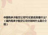 中國有多少航空公司?它們的名稱是什么?（國內(nèi)有多少航空公司分別叫什么簡介介紹）