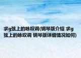 求g弦上的詠嘆調(diào)(鋼琴版介紹 求g弦上的詠嘆調(diào) 鋼琴版詳細(xì)情況如何)