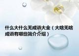 什么大什么無成語大全（大啥無啥成語有哪些簡介介紹）