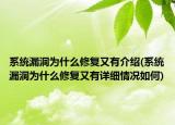 系統(tǒng)漏洞為什么修復(fù)又有介紹(系統(tǒng)漏洞為什么修復(fù)又有詳細情況如何)