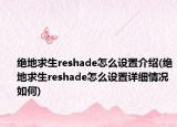 絕地求生reshade怎么設(shè)置介紹(絕地求生reshade怎么設(shè)置詳細(xì)情況如何)