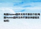 電腦itunes固件文件不兼容介紹(電腦itunes固件文件不兼容詳細(xì)情況如何)