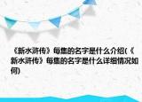 《新水滸傳》每集的名字是什么介紹(《新水滸傳》每集的名字是什么詳細情況如何)