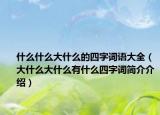 什么什么大什么的四字詞語(yǔ)大全（大什么大什么有什么四字詞簡(jiǎn)介介紹）