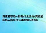 真正的職場人脈是什么介紹(真正的職場人脈是什么詳細(xì)情況如何)