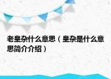 老皇雜什么意思（皇雜是什么意思簡介介紹）