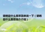 望哨是什么意思簡(jiǎn)單說(shuō)一下（望哨是什么意思簡(jiǎn)介介紹）