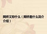 網(wǎng)橋又稱什么（網(wǎng)橋是什么簡介介紹）