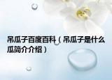吊瓜子百度百科（吊瓜子是什么瓜簡介介紹）