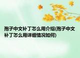 孢子中文補丁怎么用介紹(孢子中文補丁怎么用詳細(xì)情況如何)