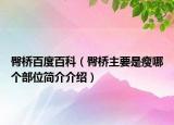 臀橋百度百科（臀橋主要是瘦哪個(gè)部位簡(jiǎn)介介紹）
