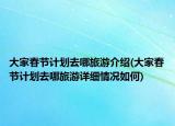 大家春節(jié)計劃去哪旅游介紹(大家春節(jié)計劃去哪旅游詳細(xì)情況如何)