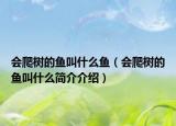 會爬樹的魚叫什么魚（會爬樹的魚叫什么簡介介紹）