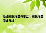 描述雪的成語有哪些（雪的成語簡(jiǎn)介介紹）