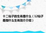 十二仙子的生肖是什么（12仙子是指什么生肖簡介介紹）