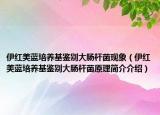 伊紅美藍(lán)培養(yǎng)基鑒別大腸桿菌現(xiàn)象（伊紅美藍(lán)培養(yǎng)基鑒別大腸桿菌原理簡介介紹）