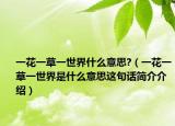 一花一草一世界什么意思?（一花一草一世界是什么意思這句話簡介介紹）