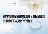 梔子花澆白醋可以嗎（用白醋怎么澆梔子花簡(jiǎn)介介紹）