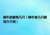 蝸牛的腳有幾只（蝸牛有幾只腳簡介介紹）