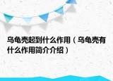 烏龜殼起到什么作用（烏龜殼有什么作用簡(jiǎn)介介紹）