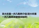 皆大歡喜一共幾集啊介紹(皆大歡喜一共幾集啊詳細情況如何)