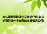 怎么能看到境外中文網(wǎng)站介紹(怎么能看到境外中文網(wǎng)站詳細(xì)情況如何)