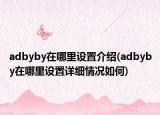 adbyby在哪里設(shè)置介紹(adbyby在哪里設(shè)置詳細(xì)情況如何)