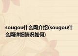 sougou什么網(wǎng)介紹(sougou什么網(wǎng)詳細情況如何)