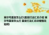 賽爾號(hào)蓋亞怎么打(蓋亞打法匯總介紹 賽爾號(hào)蓋亞怎么打 蓋亞打法匯總詳細(xì)情況如何)