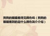 狗狗的眼睛看得見(jiàn)顏色嗎（狗狗的眼睛看到的是什么顏色簡(jiǎn)介介紹）