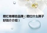 腮紅有哪些品牌（腮紅什么牌子好簡(jiǎn)介介紹）