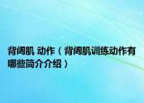 背闊肌 動作（背闊肌訓(xùn)練動作有哪些簡介介紹）