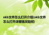 skb文件怎么打開介紹(skb文件怎么打開詳細(xì)情況如何)