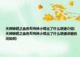 天師鐘馗之血色鴛鴦林小蝶出了什么謎語介紹(天師鐘馗之血色鴛鴦林小蝶出了什么謎語詳細(xì)情況如何)
