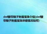 dnf腰帶鞋子附魔寶珠介紹(dnf腰帶鞋子附魔寶珠詳細(xì)情況如何)