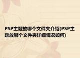 PSP主題放哪個文件夾介紹(PSP主題放哪個文件夾詳細(xì)情況如何)