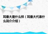 耳垂大是什么樣（耳垂大代表什么簡(jiǎn)介介紹）