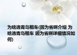 為啥選青島租車(因為省啊介紹 為啥選青島租車 因為省啊詳細情況如何)