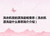 洗衣機里的漂洗是啥意思（洗衣機漂洗是什么意思簡介介紹）