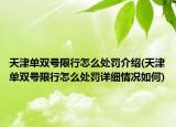 天津單雙號限行怎么處罰介紹(天津單雙號限行怎么處罰詳細(xì)情況如何)