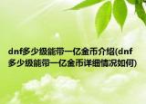 dnf多少級(jí)能帶一億金幣介紹(dnf多少級(jí)能帶一億金幣詳細(xì)情況如何)