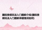 國際象棋玩法入門圖解介紹(國際象棋玩法入門圖解詳細情況如何)