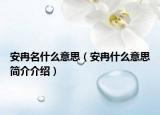 安冉名什么意思（安冉什么意思簡(jiǎn)介介紹）