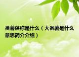 番薯俗稱是什么（大番薯是什么意思簡介介紹）