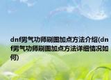 dnf男氣功師刷圖加點方法介紹(dnf男氣功師刷圖加點方法詳細情況如何)
