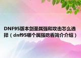 DNF95版本劍圣屬強和攻擊怎么選擇（dnf95哪個屬強吃香簡介介紹）