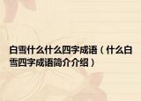 白雪什么什么四字成語(yǔ)（什么白雪四字成語(yǔ)簡(jiǎn)介介紹）
